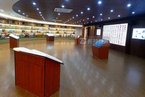 從數(shù)據(jù)可視化到場景重構(gòu)：數(shù)字展墻如何賦能現(xiàn)代化政務(wù)展廳升級(jí)！