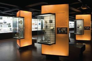 當青銅器在光影中復活：哪些多媒體方案正改寫博物館展陳教科書？